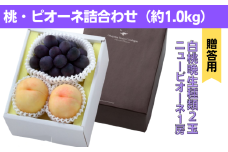 詰合せ 白桃 晩生種 2玉 ニューピオーネ 1房 合計約1.0kg 岡山県産 【先行予約 2025年8月下旬から順次発送】