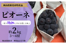 野田山ぶどう園 ピオーネ 約2kg 3～4房 【先行予約 2025年9月中旬から順次発送】