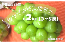 野田山ぶどう園 シャインマスカット 約2kg 3～5房 【先行予約 2025年10月上旬から順次発送】