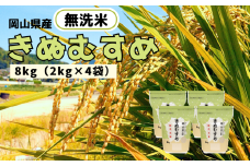 【令和7年産】無洗米 きぬむすめ 8kg 2kg×4袋 岡山県産 【先行予約 2025年11月上旬から順次発送】
