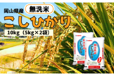 【令和7年産】無洗米 こしひかり 10kg 5kg×2袋 岡山県産 【先行予約 2025年10月上旬から順次発送】