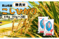 岡山県産無洗米「こしひかり」5kg×2袋（計約10kg）