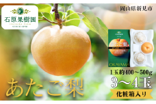 あたご梨 3～4玉 1玉約400～500g 化粧箱【先行予約 2025年11月中旬から順次発送】