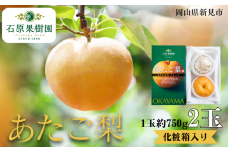 あたご梨 2玉 1玉約750g 化粧箱【先行予約 2025年11月中旬から順次発送】