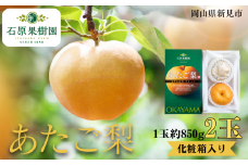 あたご梨 2玉 1玉約850g 化粧箱【先行予約 2025年11月中旬から順次発送】