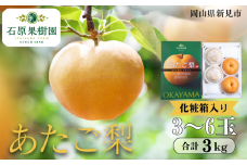 あたご梨 3～6玉 約3kg 化粧箱【先行予約 2025年11月中旬から順次発送】