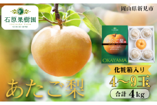 あたご梨 4～9玉 約4kg 化粧箱【先行予約 2025年11月中旬から順次発送】