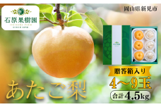 あたご梨 4～9玉 約4.5kg 贈答箱【先行予約 2025年11月中旬から順次発送】