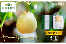 ヤーリー (鴨梨) 2玉 贈答箱【先行予約 2025年11月中旬から順次発送】