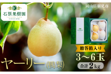 ヤーリー (鴨梨) 3～6玉 約2kg 贈答箱【先行予約 2025年11月中旬から順次発送】