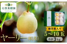 ヤーリー (鴨梨) 5～10玉 約3kg 贈答箱【先行予約 2025年11月中旬から順次発送】