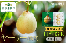 ヤーリー (鴨梨) 11～13玉 約4kg 化粧箱【先行予約 2025年11月中旬から順次発送】