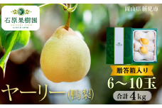 ヤーリー (鴨梨) 6～10玉 約4kg 贈答箱【先行予約 2025年11月中旬から順次発送】
