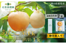 あたご梨1玉 ヤーリー (鴨梨) 1玉 詰め合わせ 2玉 贈答箱【先行予約 2025年11月中旬から順次発送】