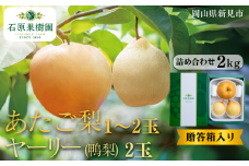 あたご梨1～2玉 ヤーリー (鴨梨) 2玉 詰め合わせ 約2kg 贈答箱【先行予約 2025年11月中旬から順次発送】