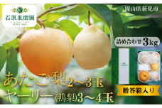 あたご梨2～3玉 ヤーリー (鴨梨) 3～4玉 詰め合わせ 約3kg 贈答箱【先行予約 2025年11月中旬から順次発送】