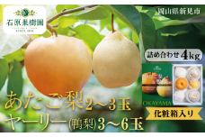 あたご梨2～3玉 ヤーリー (鴨梨) 3～6玉 詰め合わせ 約4kg 化粧箱【先行予約 2025年11月中旬から順次発送】