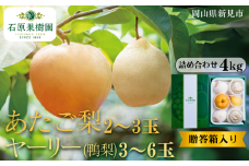 あたご梨2～3玉 ヤーリー (鴨梨) 3～6玉 詰め合わせ 約4kg 贈答箱【先行予約 2025年11月中旬から順次発送】