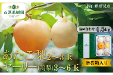 あたご梨2～3玉 ヤーリー (鴨梨) 3～6玉 詰め合わせ 約4.5kg 贈答箱【先行予約 2025年11月中旬から順次発送】