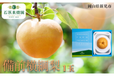 備前横綱梨 (あたご梨) 1玉 約1～1.4kg 【先行予約 2025年11月中旬から順次発送】