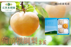 備前横綱梨 (あたご梨) 3玉 1玉約1～1.4kg 【先行予約 2025年11月中旬から順次発送】