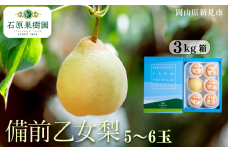 備前乙女梨 (ヤーリー) 5～6玉 約3kg 【先行予約 2025年11月中旬から順次発送】