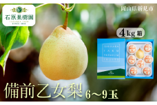 備前乙女梨 (ヤーリー) 6～9玉 約4kg 【先行予約 2025年11月中旬から順次発送】