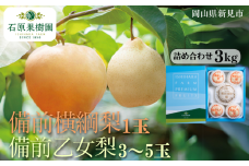 備前横綱梨（あたご梨）1玉（1玉約1～1.4kg） 備前乙女梨（ヤーリー (鴨梨)） 3～5玉 詰め合わせ 約3kg【先行予約 2025年11月中旬から順次発送】