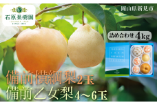 備前横綱梨（あたご梨）2玉（1玉約1～1.4kg） 備前乙女梨（ヤーリー (鴨梨)） 4～6玉 詰め合わせ 約4kg【先行予約 2025年11月中旬から順次発送】