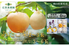 あたご梨2～3玉 ヤーリー (鴨梨) 3～6玉 詰め合わせ 約4kg 家庭用【先行予約 2025年11月中旬から順次発送】