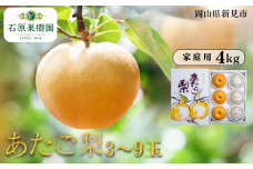 あたご梨 3～9玉 約4kg 家庭用【先行予約 2025年11月中旬から順次発送】