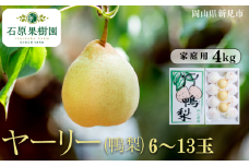 ヤーリー (鴨梨) 6～13玉 約4kg 家庭用【先行予約 2025年11月中旬から順次発送】