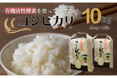 【令和7年産】有機活性酵素を使用 新見産コシヒカリ 白米10kg(5kg×2袋)