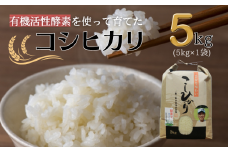【令和7年産】有機活性酵素を使用 新見産コシヒカリ 白米5kg×1袋