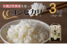 【令和7年産】有機活性酵素を使用 新見産コシヒカリ 白米3kg×1袋