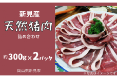 新見産 天然猪肉 極上詰め合わせ スライス肉 約300g×2 【12月上旬～8月下旬頃発送】