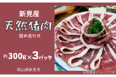 新見産 天然猪肉 極上詰め合わせ スライス肉 約300g×3 【12月上旬～8月下旬頃発送】