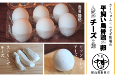 【限定：11月～3月発送・牛乳使用】平飼い烏骨鶏の卵6個 モッツァレラチーズ100g×2 ストリングチーズ50g×2