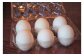 平飼い烏骨鶏の卵6個