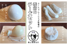 【限定：11月～3月発送・牛乳使用】季節のチーズ4種セット