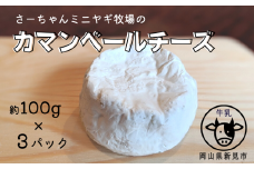 【限定：11月～3月発送・牛乳使用】カマンベールチーズ 約100g×3パック