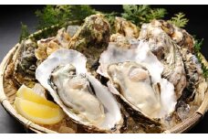 秀栄水産 瀬戸内の 牡蠣 （殻つき 大粒15粒） 海の幸 海のミルク 海鮮 貝 岡山県 瀬戸内市 虫明湾 [№5735-0220]