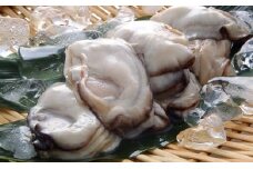 秀栄水産 瀬戸内の 牡蠣 （むき身 500g×2） 海の幸 海のミルク 海鮮 貝 岡山県 瀬戸内市 虫明湾 [№5735-0223]