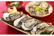 秀栄水産 瀬戸内の 牡蠣 豪華セット（むき身400g&殻つき約2kg&塩辛90g） 海の幸 海のミルク 海鮮 貝 岡山県 瀬戸内市 虫明湾 [№5735-0226]