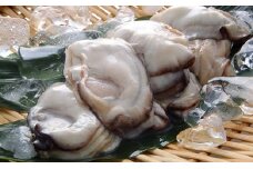 秀栄水産 瀬戸内の 牡蠣 （むき身 500g×3） 海の幸 海のミルク 海鮮 貝 岡山県 瀬戸内市 虫明湾 [№5735-0227]