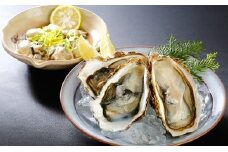 秀栄水産 瀬戸内の 牡蠣 豪華大粒セット（むき身+大粒殻つき） 海の幸 海のミルク 海鮮 貝 岡山県 瀬戸内市 虫明湾 [№5735-0229]