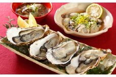 秀栄水産 瀬戸内の 牡蠣 豪華大粒+αセット(むき身500g+殻つき3kg+牡蠣塩辛90g) 海の幸 海のミルク 海鮮 貝 岡山県 瀬戸内市 虫明湾 [№5735-0230]