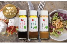 ドレッシング セット 赤屋根の オリーブオイル 油 オリーブ油 食用油 調味料 詰め合わせ ギフト 贈り物 [№5735-0373]
