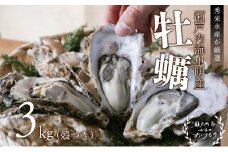 秀栄水産　瀬戸内の 牡蠣 （殻つき 約3kg） 海の幸 海のミルク 海鮮 貝 岡山県 瀬戸内市 虫明湾 [№5735-0417]