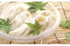 素麺三兄弟とひやむぎ [№5735-0570]